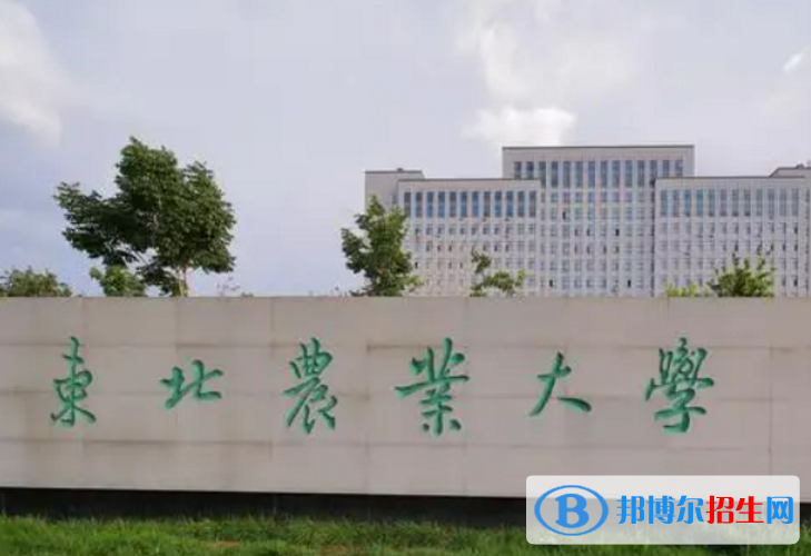 東北農(nóng)業(yè)大學(xué)是不是985大學(xué)？