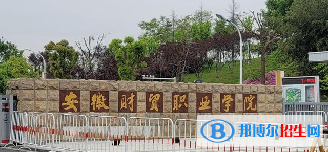 安徽財貿(mào)職業(yè)學(xué)院有哪些中外合作辦學(xué)專業(yè)？（附名單）