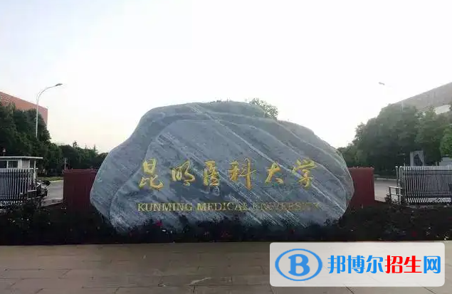 昆明醫(yī)科大學(xué)有哪些中外合作辦學(xué)專業(yè)？（附名單）