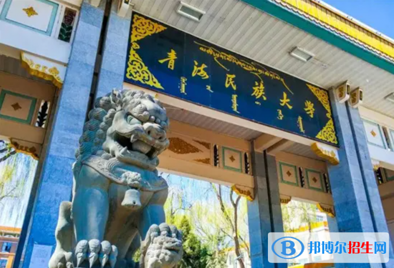 青海民族大學有哪些中外合作辦學專業(yè)？（附名單）