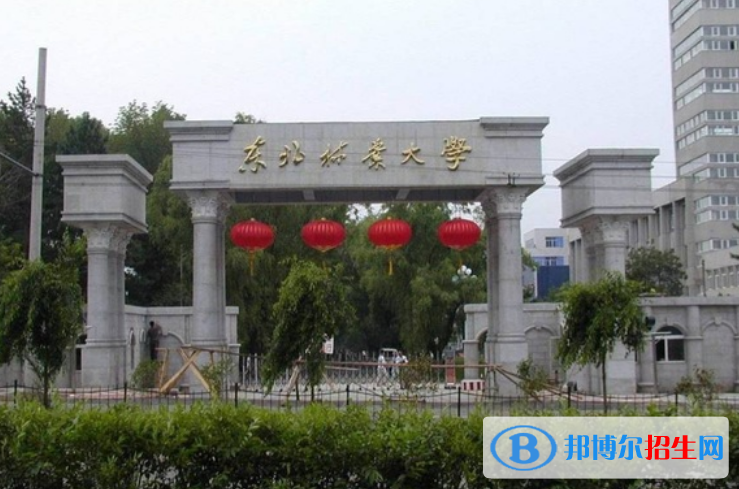 東北林業(yè)大學(xué)是不是雙一流大學(xué)？ 