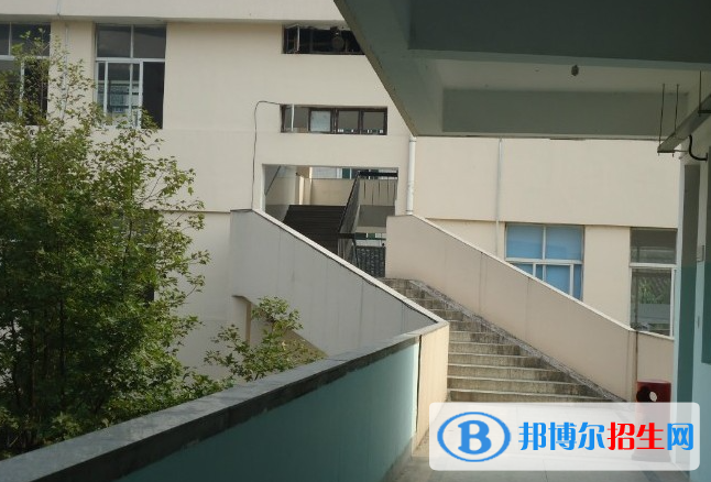 瑞安八中、瑞安九中2022錄取分?jǐn)?shù)線（2023參考）