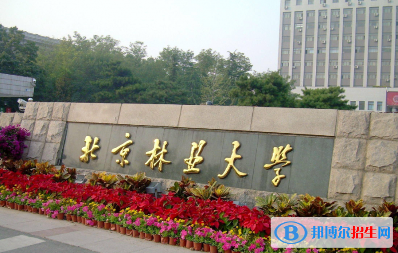 內(nèi)蒙古高考2022年位次9000左右適合報(bào)考什么學(xué)校（2023參考）