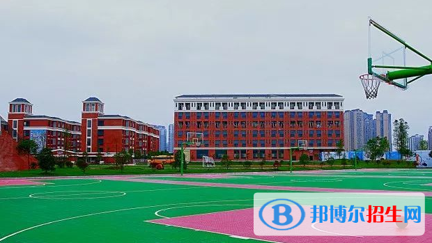 2023年廣安中考成績查詢(入口+方法+時間)