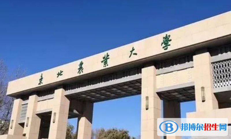 東北農(nóng)業(yè)大學(xué)是幾本？是985和211嗎？
