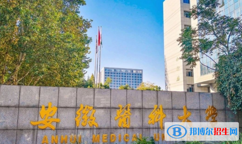 安徽醫(yī)科大學(xué)是幾本？是985和211嗎？