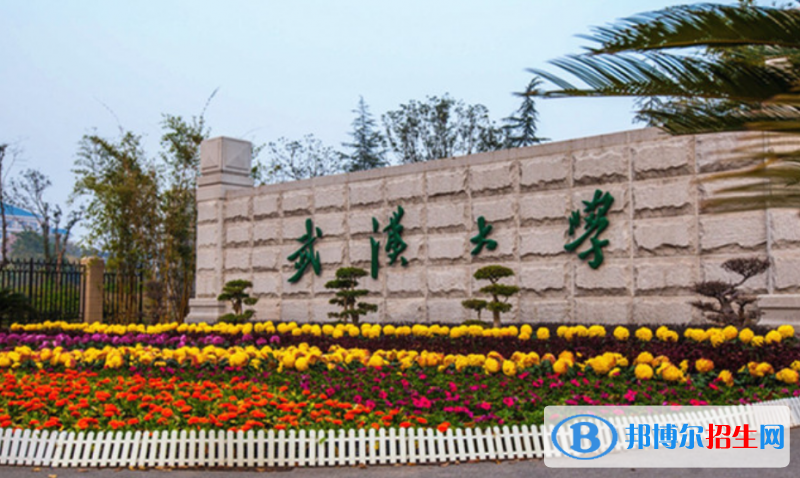 武漢大學是幾本？是985和211嗎？