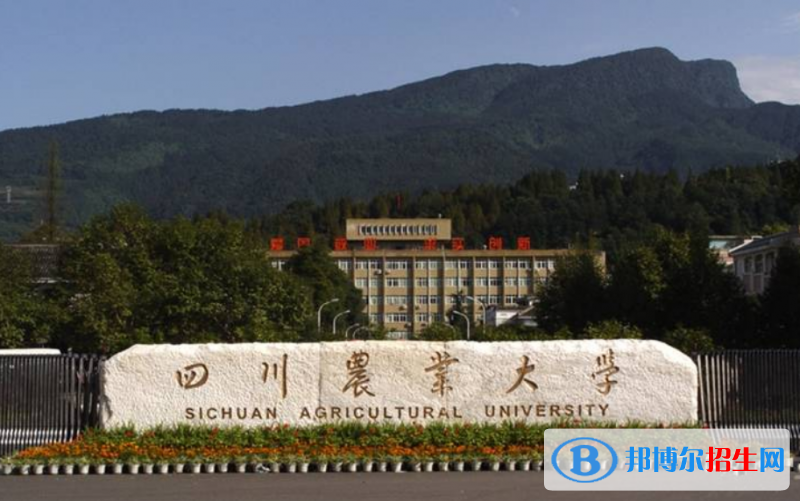四川農(nóng)業(yè)大學(xué)是幾本？是985和211嗎？