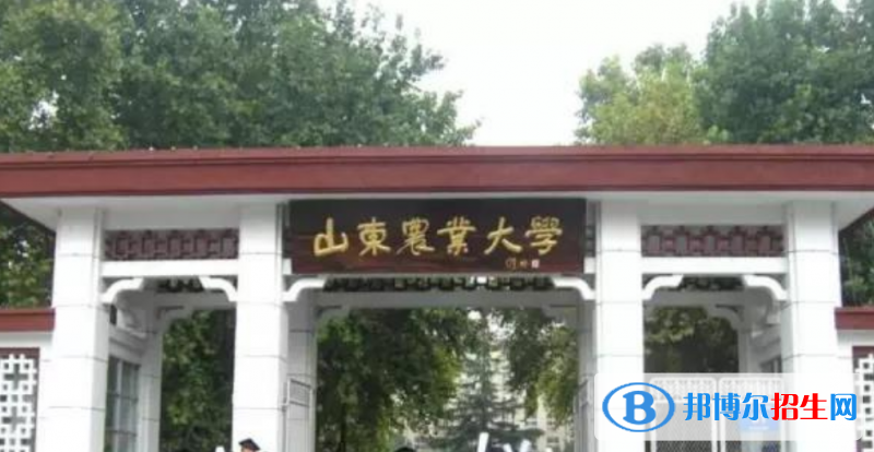 山東農業(yè)大學是幾本？是985和211嗎？