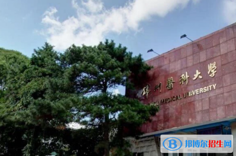 錦州醫(yī)科大學(xué)是幾本？是985和211嗎？