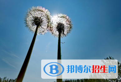 2023年西安經(jīng)開(kāi)職業(yè)學(xué)校有哪些專業(yè)
