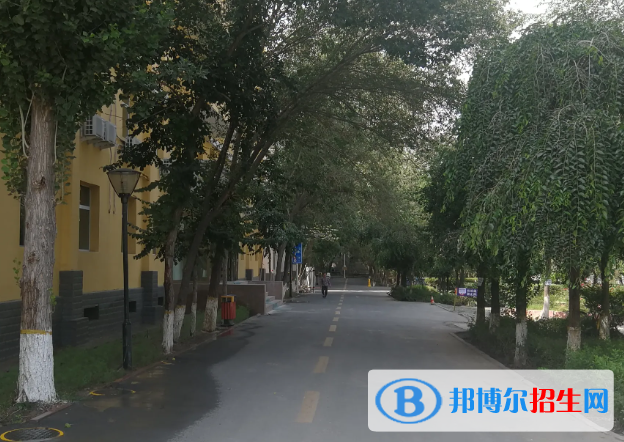 新疆林業(yè)學(xué)校怎么樣、好不好(2023參考)