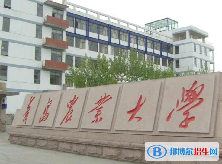 2023山東二本大學名單排名一覽表