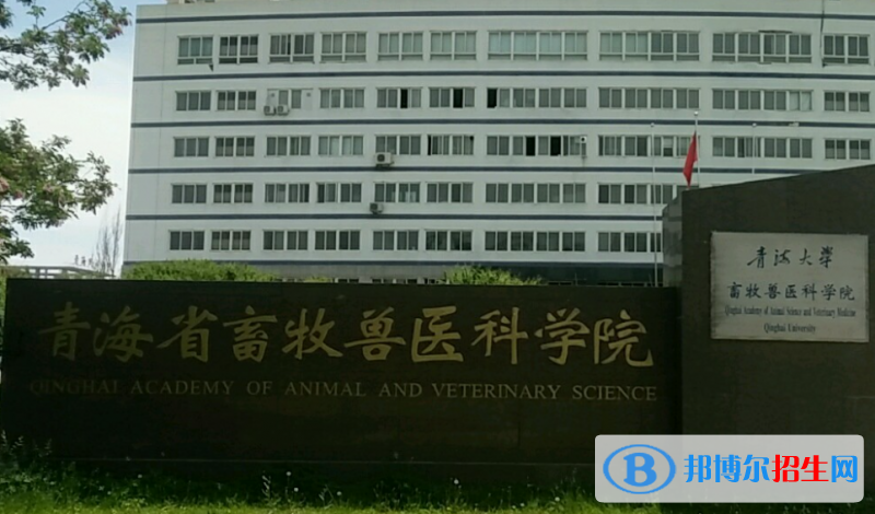 2023青海十大專(zhuān)科院校排名一覽表