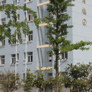 渭南市軌道交通運輸高級技工學(xué)校