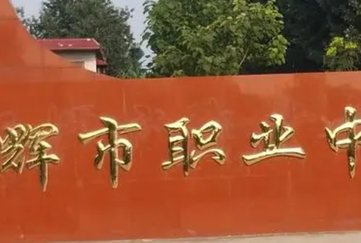 衛(wèi)輝市職業(yè)中等專業(yè)學校地址在哪里，哪個地區(qū)，哪個城市?