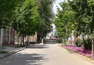 2023新鄉(xiāng)市紅旗區(qū)職業(yè)教育中心招生計劃 招生人數(shù)是多少(附要求、條件、對象)