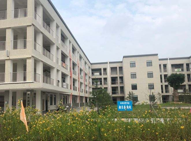 2024蚌埠會計學(xué)校有哪些 蚌埠會計學(xué)校名單一覽表