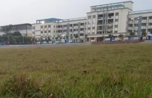 2023武宣縣職業(yè)技術(shù)學(xué)校多少錢 武宣縣職業(yè)技術(shù)學(xué)校各專業(yè)學(xué)費收費標準