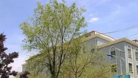 2023蘭州公辦計算機學(xué)校有哪些 蘭州公辦計算機學(xué)校名單一覽表