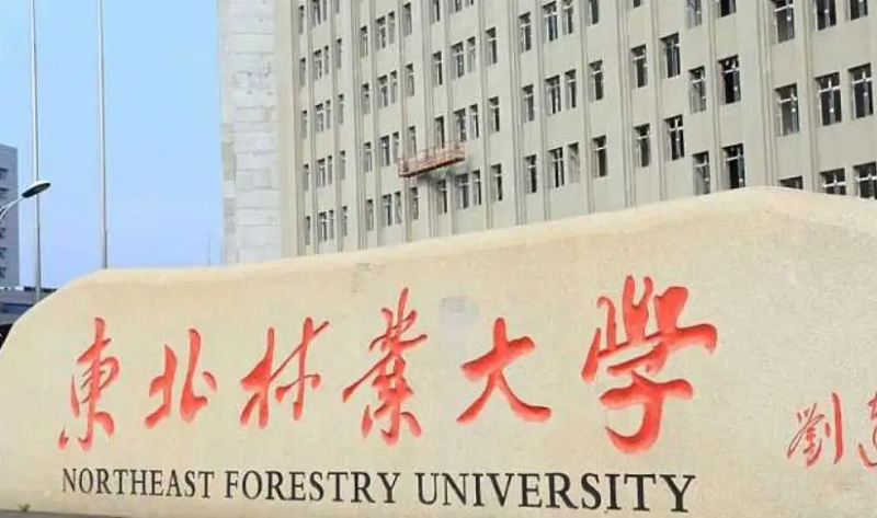 東北林業(yè)大學(xué)什么專(zhuān)業(yè)好，東北林業(yè)大學(xué)專(zhuān)業(yè)排名