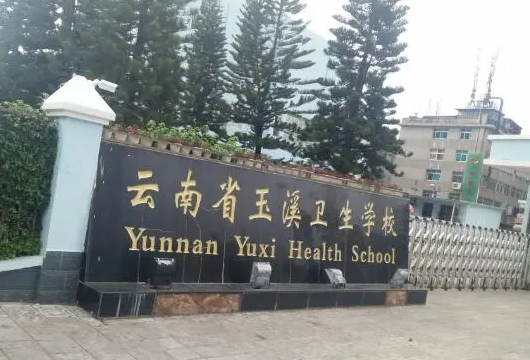2023玉溪公辦護理學校有哪些 玉溪公辦護理學校名單一覽表