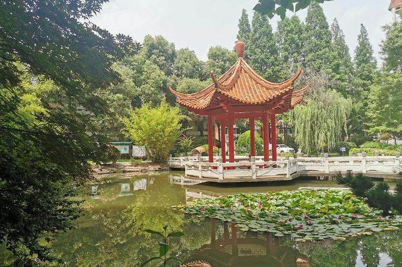 南京市秦淮中學(xué)地址，乘車路線