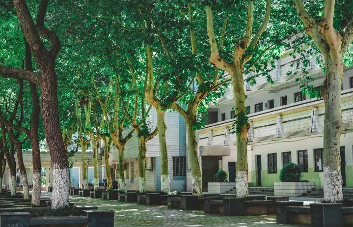 2023南京市第六十六中學(xué)多少錢(學(xué)費明細)