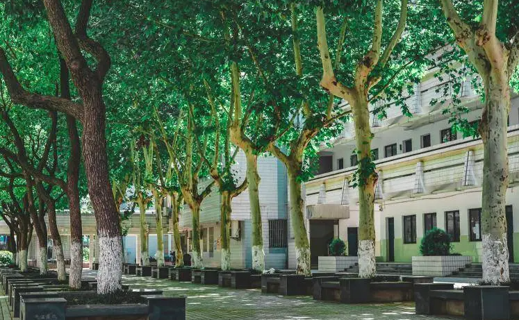 2023南京市第六十六中學招生計劃 招生人數(shù)是多少(附要求、條件、對象)