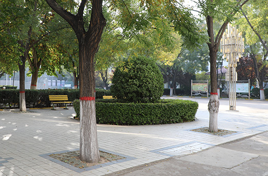 長治技師學(xué)院地址，乘車路線