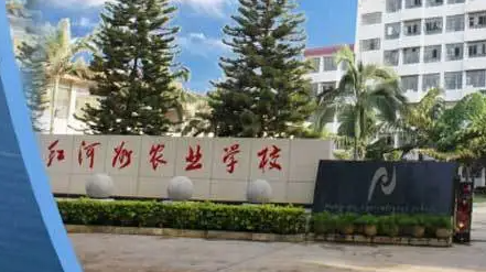 2024紅河排名前五的計算機學(xué)校名單