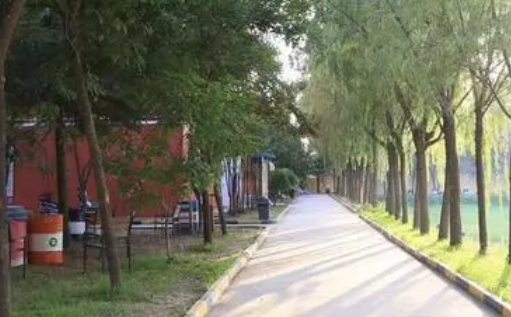 2023西安大中科技技工學(xué)校招生計(jì)劃 招生人數(shù)是多少(附要求、條件、對象)