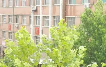 2023武城縣職業(yè)中等專業(yè)學(xué)校招生計(jì)劃 招生人數(shù)是多少(附要求、條件、對(duì)象)