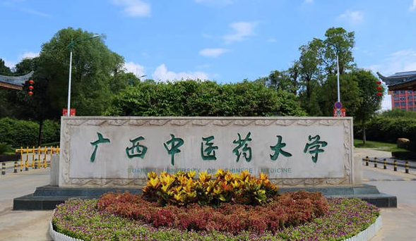 中國大學(xué)壯醫(yī)學(xué)專業(yè)排名（研究型）-校友會2023最新排名