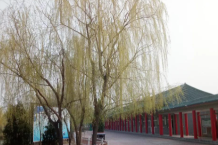 濱州愉悅職業(yè)技術(shù)學校怎么樣、好不好