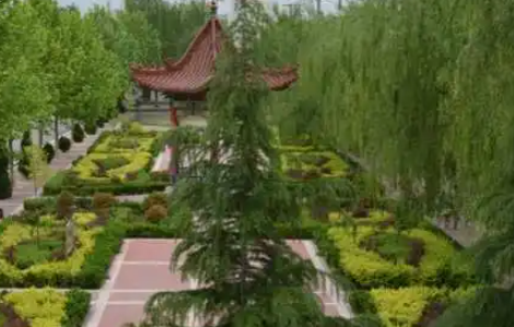 2023芮城縣第一職業(yè)學(xué)校招生計劃 招生人數(shù)是多少(附要求、條件、對象)