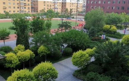 2023沈陽市外事服務(wù)學(xué)校招生計劃 招生人數(shù)是多少(附要求、條件、對象)