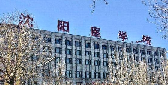新疆助產專業(yè)大學排名及分數線一覽表