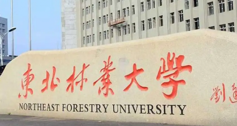 天津物流工程專業(yè)大學排名及分數(shù)線一覽表