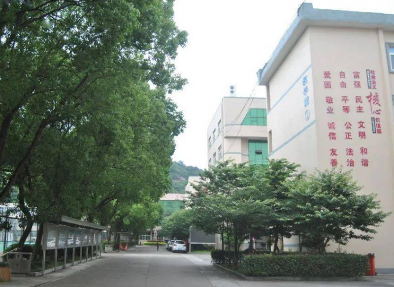 蒼南巨人中學(xué)怎么樣、好不好
