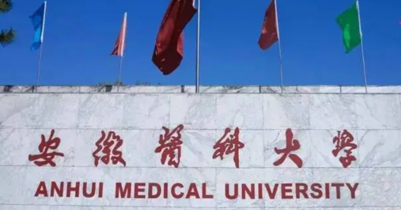 2023安徽醫(yī)科大學(xué)排名全國(guó)第幾名（2024年參考）