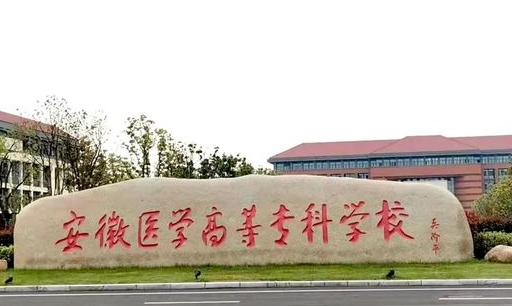 2024安徽醫(yī)學(xué)高等專科學(xué)校專業(yè)排行榜 