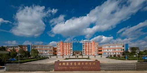 2024楚雄醫(yī)藥高等?？茖W校專業(yè)排行榜 