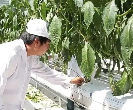 青海2024現(xiàn)在讀中專學(xué)校什么專業(yè)好