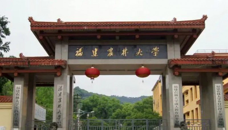 2024福建農(nóng)林大學(xué)專(zhuān)業(yè)排行榜 