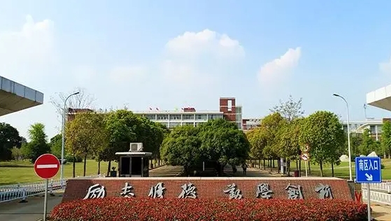 2023武漢外語外事職業(yè)學院高考錄取分數線是多少（2024參考）