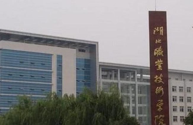 2023湖北職業(yè)技術(shù)學(xué)院高考錄取分數(shù)線是多少（2024參考）
