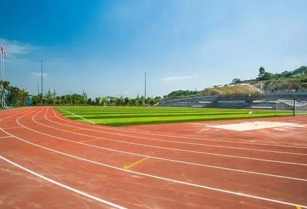 2024重慶市第八中學(xué)校(沙坪壩校區(qū))招生計(jì)劃 招生人數(shù)是多少(附要求、條件、對象)
