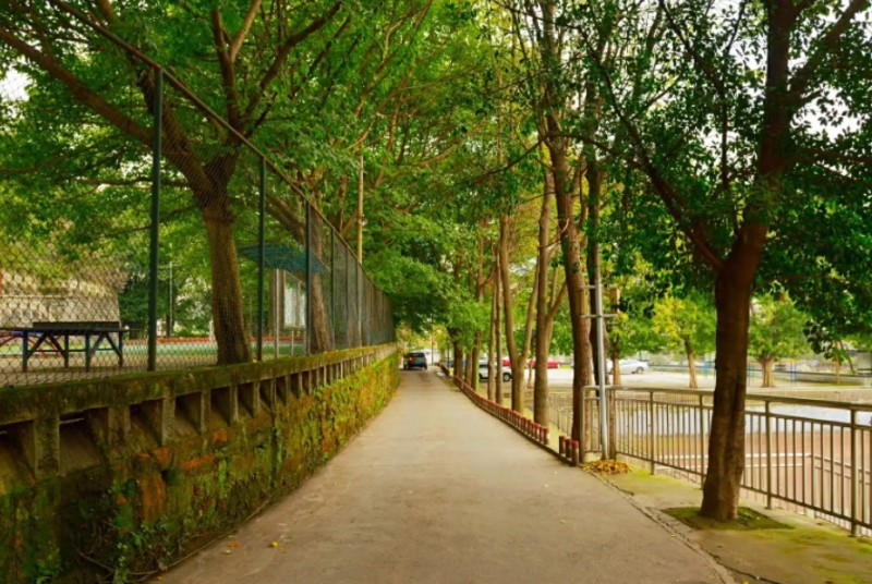 重慶市二十八中地址，乘車路線