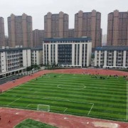 臨泉縣郁文高級中學